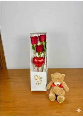 3R Peluche
