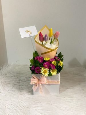Belleza Tulipán