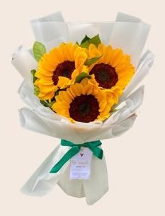 Favorita Girasoles