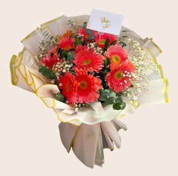 Gerberas